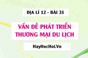 Vấn đề phát triển thương mại, du lịch - Địa lí 12 bài 31